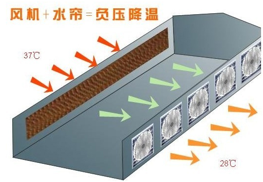 负压通风降温设备广东 负压风机+降温湿帘系统