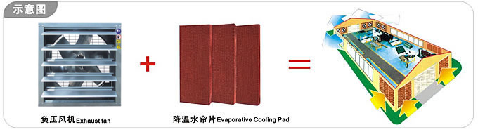 厂房降温湿帘广州  车间通风降温